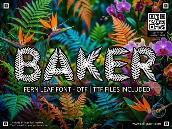 Baker: A Commanding Display Font for Bold Creators