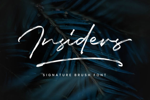 Insiders: Crafting Brand Identity with a Chic Script